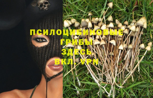 эйфоретик Баксан