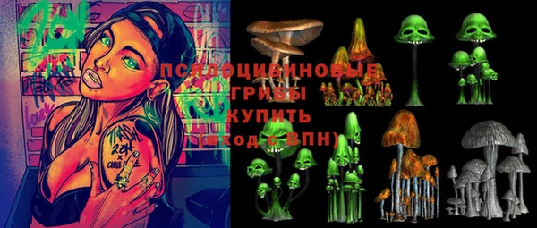 эйфоретик Баксан