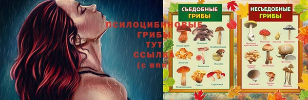 а пвп мука Балабаново