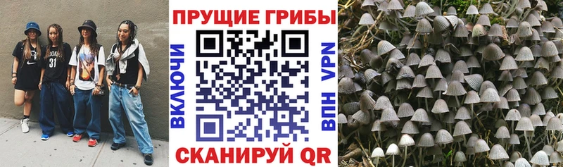 Псилоцибиновые грибы MAGIC MUSHROOMS  Белая Холуница 